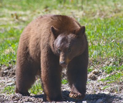 DSC_0521trj.jpg
