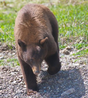 DSC_0522trj.jpg