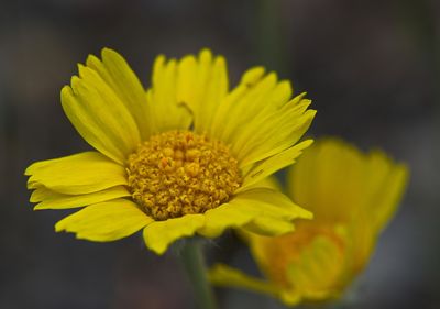 DSC_2836t2rj2.jpg
