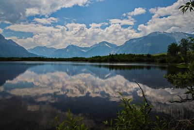 DSC_2964trj2.jpg