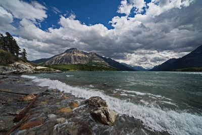 DSC_3328trj2.jpg