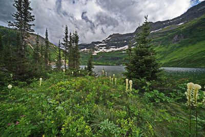 DSC_3382t4rj2.jpg