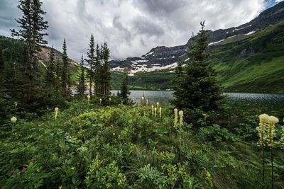 DSC_3382tt2rj2.jpg
