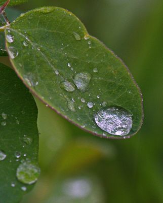 DSC_3926trj2.jpg