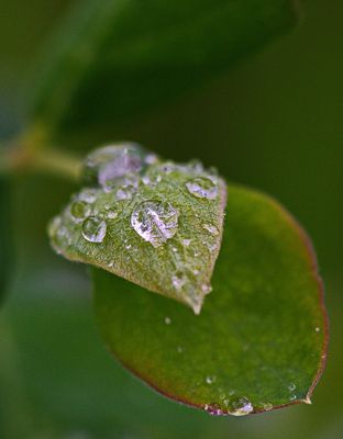 DSC_3927trj2.jpg