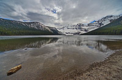 DSC_3953trj2.jpg