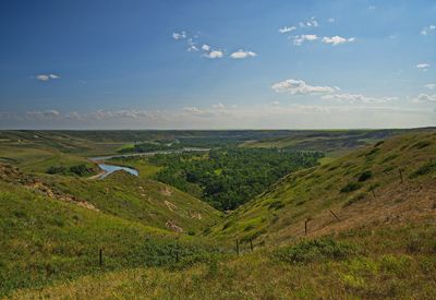 DSC_4427trj2.jpg