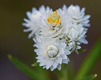 DSC_4534tt2rj2.jpg
