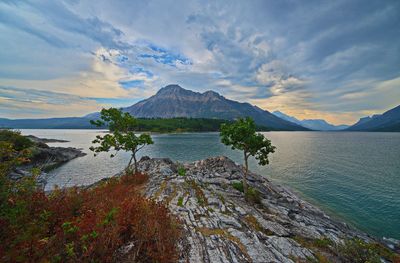 DSC_4592trj2.jpg