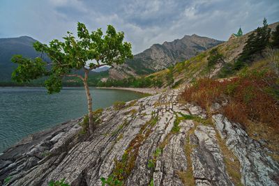 DSC_4609trj2.jpg