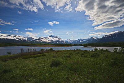 DSC_5250trj2.jpg