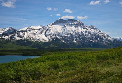 DSC_5267trj2.jpg