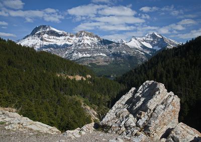 DSC_5292tr1j3.jpg