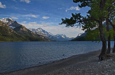 DSC_5311t2rj2.jpg