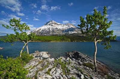 DSC_5335trj2.jpg