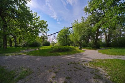 DSC_5379tr1j2.jpg