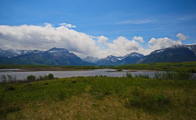 DSC_5410tr1j2.jpg