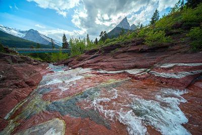DSC_5484ttr1j2.jpg