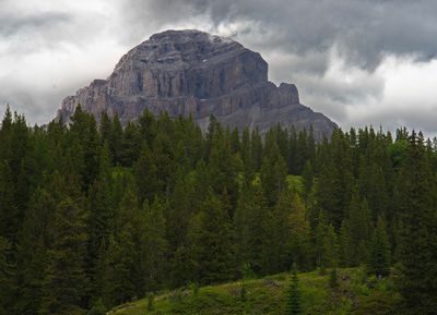 DSC_5506t1rj2.jpg