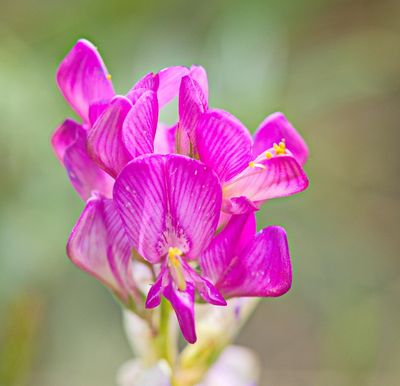 DSC_5645t2r1j2.jpg
