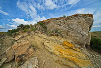 DSC_5745trj2.jpg