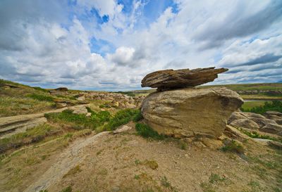 DSC_5751tr1j2.jpg