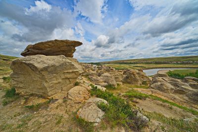 DSC_5752trj2.jpg