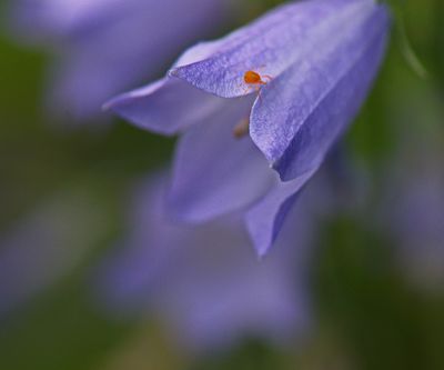 DSC_5839tr1j2.jpg