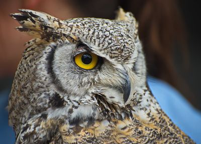 DSC_5935tr1j2.jpg