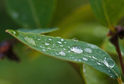 DSC_5958tt2r1j2.jpg