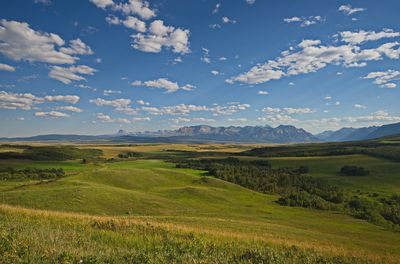 DSC_5985t2r1j3.jpg
