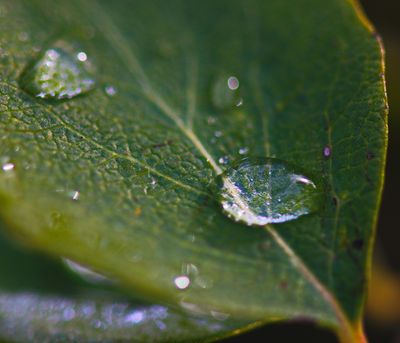 DSC_6156trj2.jpg