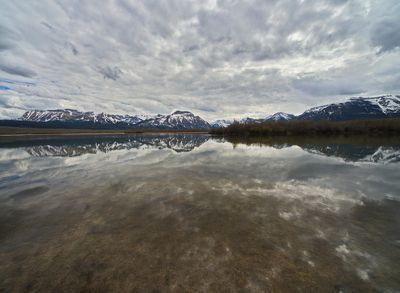 DSC_6214trj2.jpg