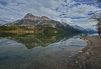 DSC_6270t6rj2.jpg