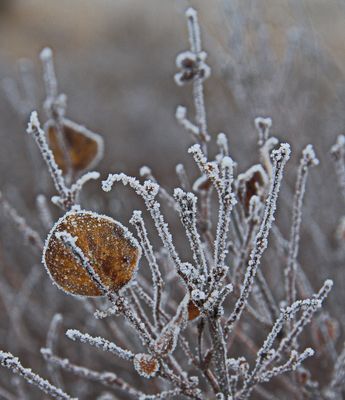 _DSC2111t2rj2.jpg