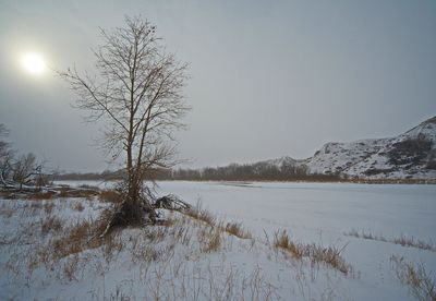 _DSC2155t2rj2.jpg