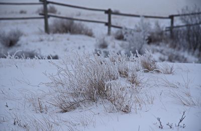 _DSC2209t2rj3.jpg