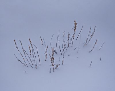 _DSC2210t2rj3.jpg