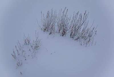 _DSC2213t2rj3.jpg