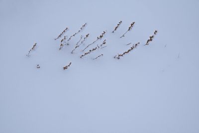 _DSC2218t2rj3.jpg