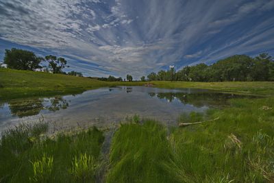 _DSC2737trj2.jpg