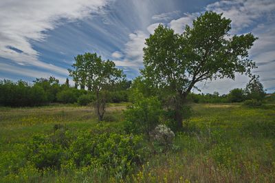 _DSC2752trj2.jpg
