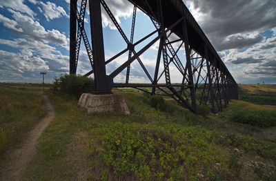 _DSC3395trj2.jpg