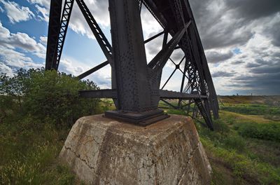 _DSC3396trj2.jpg