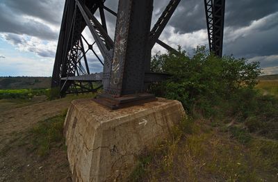 _DSC3397trj2.jpg