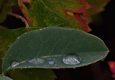 _DSC3406t2rj2.jpg