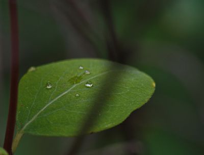 _DSC3471t2rj2.jpg