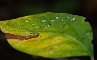 _DSC3491t2rj3.jpg