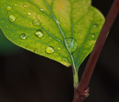 _DSC3492t3rj3.jpg