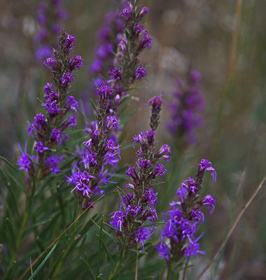 _DSC3551t2rj2.jpg